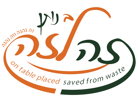 cropped-sfnfj.png
